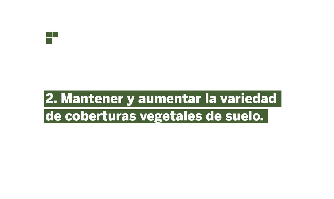 Imagen de Prevención, la medida más importante para evitar Agalla en plantas de yerba mate Imagen de Prevención, la medida más importante para evitar Agalla en plantas de yerba mate