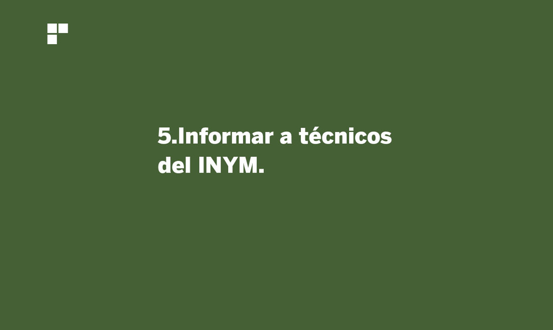 Imagen de Prevención, la medida más importante para evitar Agalla en plantas de yerba mate Imagen de Prevención, la medida más importante para evitar Agalla en plantas de yerba mate