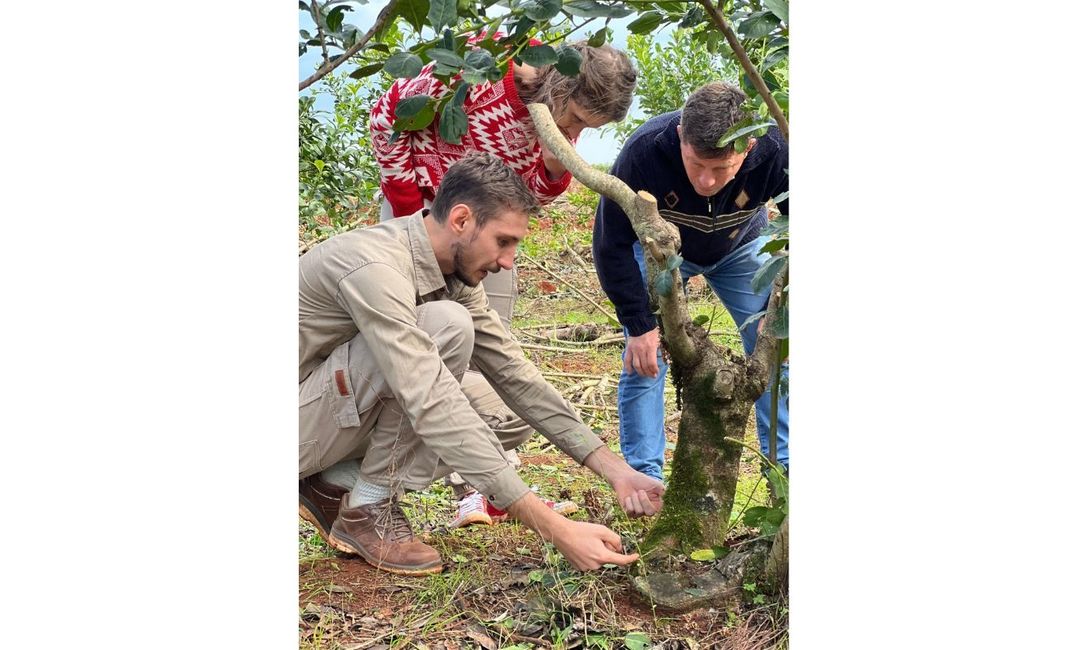 Imagen de Cumpliendo con los objetivos propuestos, el Servicio de Extensión del INYM transita su quinto año de trabajo junto a los productores Imagen de Cumpliendo con los objetivos propuestos, el Servicio de Extensión del INYM transita su quinto año de trabajo junto a los productores