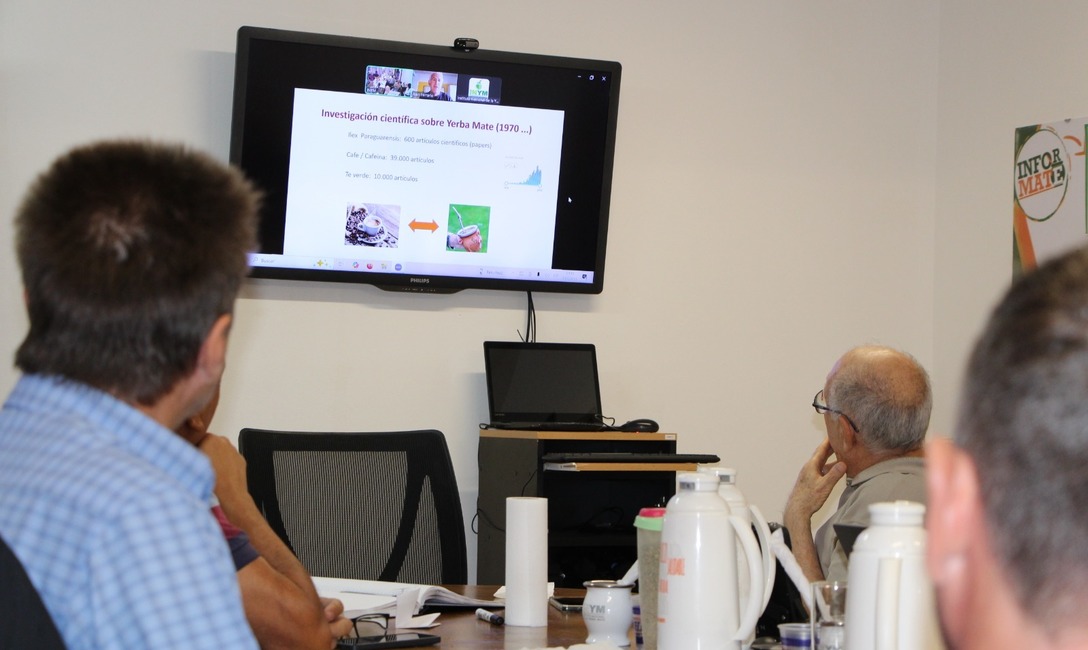 Imagen de El Mate previene el Parkinson, una enfermedad en aumento en el mundo Imagen de El Mate previene el Parkinson, una enfermedad en aumento en el mundo