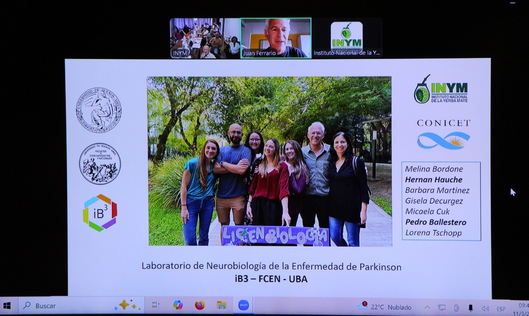 Imagen de El Mate previene el Parkinson, una enfermedad en aumento en el mundo Imagen de El Mate previene el Parkinson, una enfermedad en aumento en el mundo