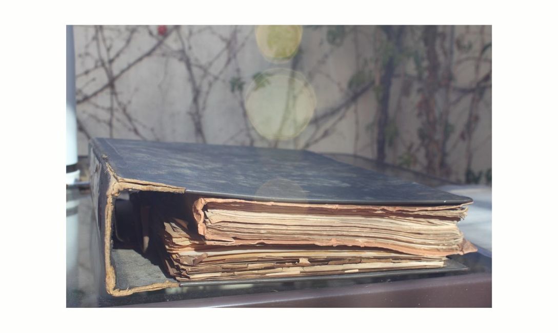 Imagen de Houssay, el científico que puso a la Argentina en lo más alto de la ciencia mundial, fue el primero en estudiar los efectos de la Yerba Mate en la salud Imagen de Houssay, el científico que puso a la Argentina en lo más alto de la ciencia mundial, fue el primero en estudiar los efectos de la Yerba Mate en la salud