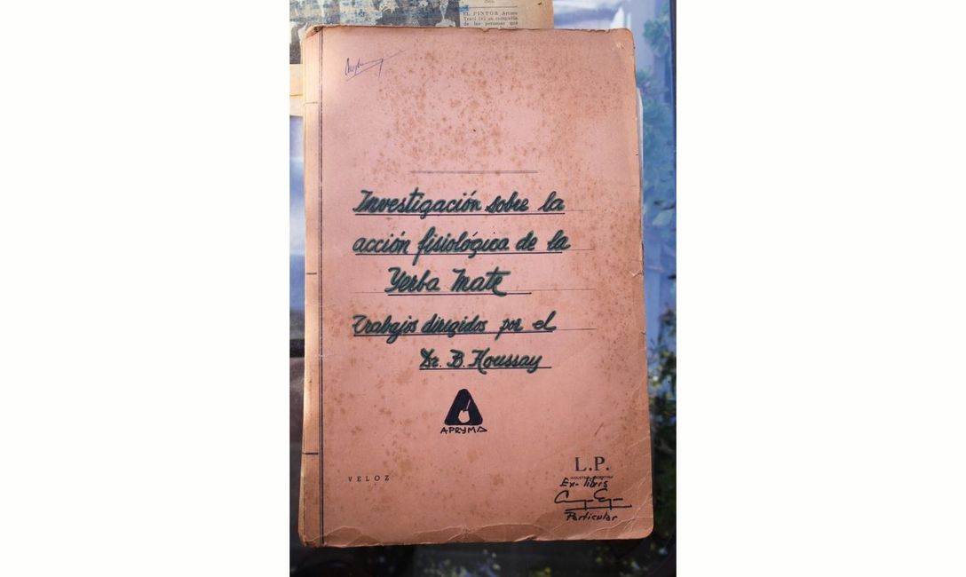 Imagen de Houssay, el científico que puso a la Argentina en lo más alto de la ciencia mundial, fue el primero en estudiar los efectos de la Yerba Mate en la salud Imagen de Houssay, el científico que puso a la Argentina en lo más alto de la ciencia mundial, fue el primero en estudiar los efectos de la Yerba Mate en la salud