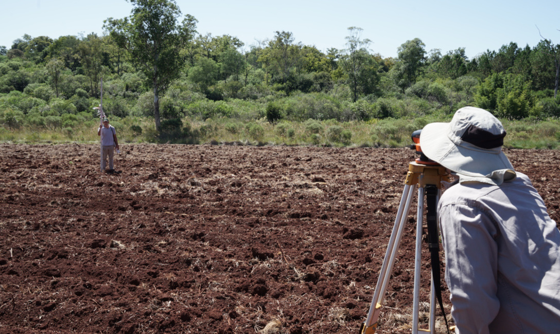 Imagen de Primeros pasos para una buena productividad en yerba mate Imagen de Primeros pasos para una buena productividad en yerba mate
