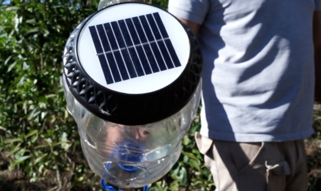 Imagen de Trampas lumínicas para identificar posibles plagas en yerbales Imagen de Trampas lumínicas para identificar posibles plagas en yerbales