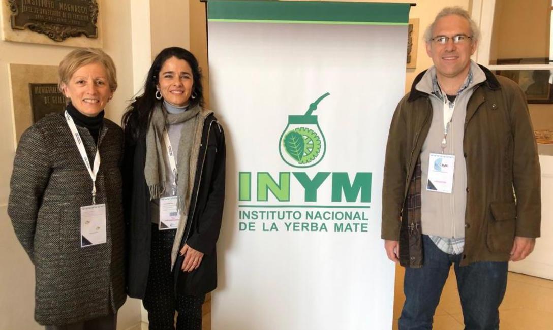 Imagen de En el Día Mundial del Parkinson, científicos argentinos cuentan cómo el Mate reduce el riesgo de desarrollar la enfermedad Imagen de En el Día Mundial del Parkinson, científicos argentinos cuentan cómo el Mate reduce el riesgo de desarrollar la enfermedad