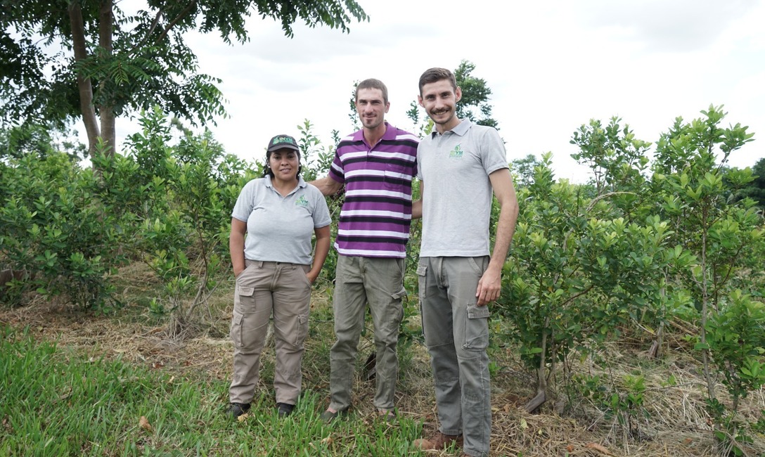 Imagen de Jóvenes apuestan a la vida en la chacra con prácticas sustentables en viejos y nuevos yerbales Imagen de Jóvenes apuestan a la vida en la chacra con prácticas sustentables en viejos y nuevos yerbales