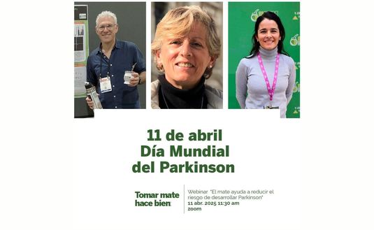 Imagen de Día Mundial del Parkinson: La yerba mate es un alimento nutracéutico y debe ser parte de la dieta