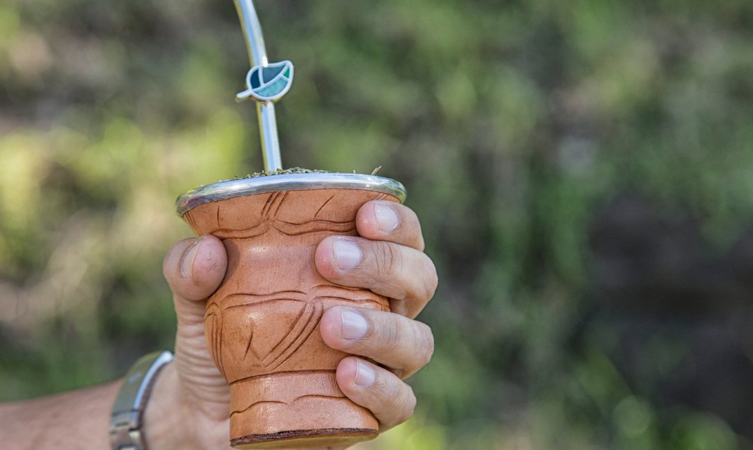 Imagen de Las ventas de yerba mate superaron los 76 millones de kilos el primer trimestre Imagen de Las ventas de yerba mate superaron los 76 millones de kilos el primer trimestre