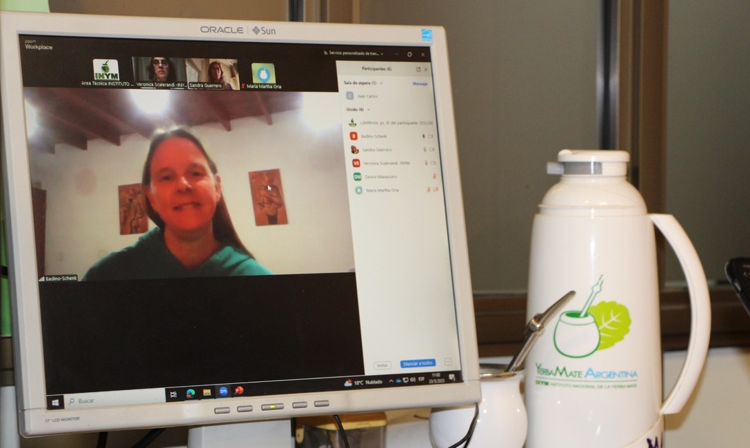 Imagen de Extractos de yerba mate para el desarrollo de nuevos productos Imagen de Extractos de yerba mate para el desarrollo de nuevos productos