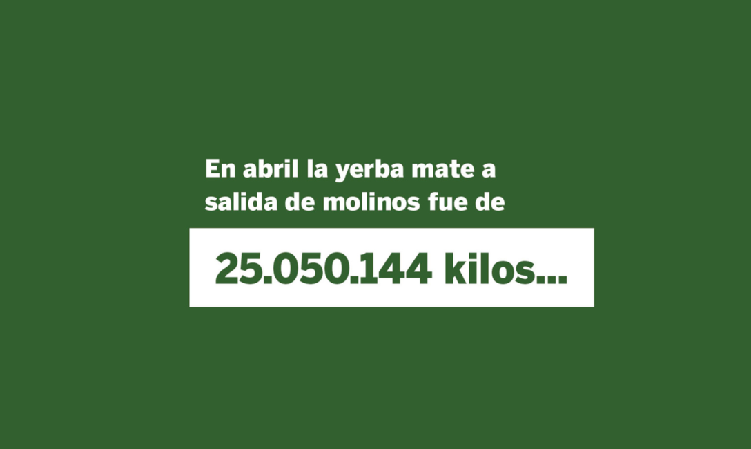 Imagen de Las ventas de yerba mate superaron los 105 millones de kilos al cierre de abril Imagen de Las ventas de yerba mate superaron los 105 millones de kilos al cierre de abril