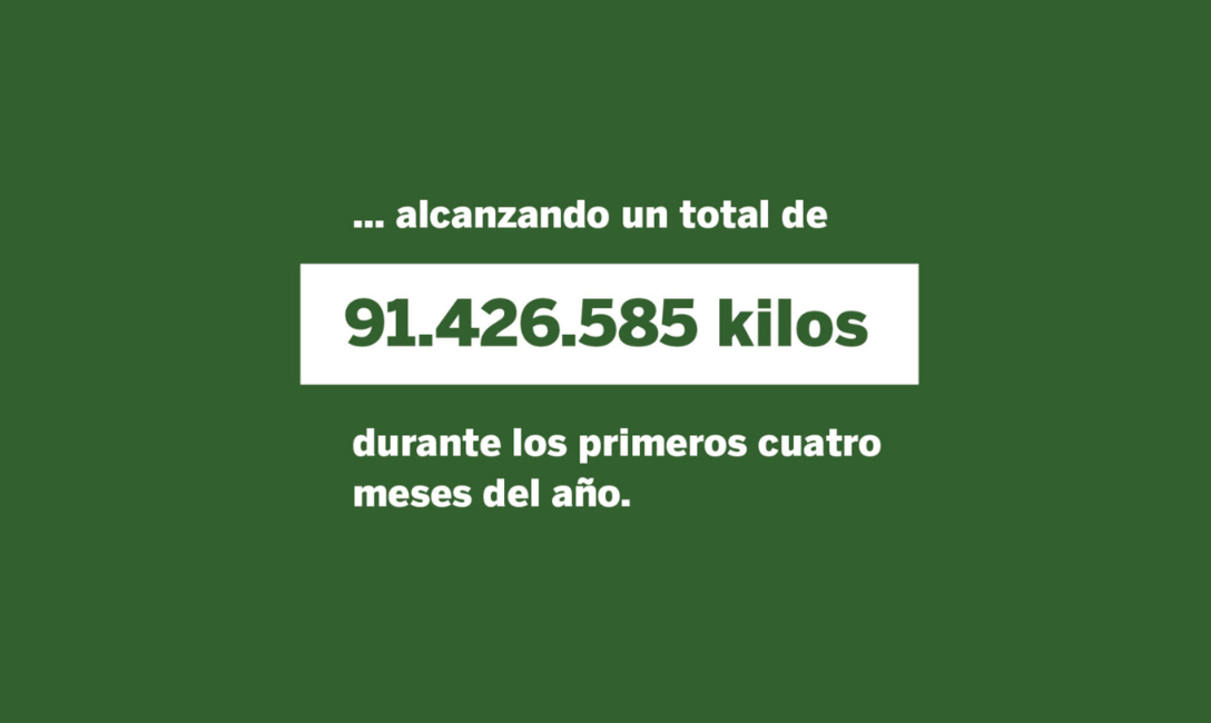 Imagen de Las ventas de yerba mate superaron los 105 millones de kilos al cierre de abril Imagen de Las ventas de yerba mate superaron los 105 millones de kilos al cierre de abril