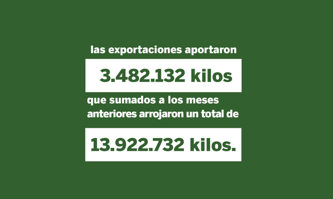Imagen de Las ventas de yerba mate superaron los 105 millones de kilos al cierre de abril Imagen de Las ventas de yerba mate superaron los 105 millones de kilos al cierre de abril