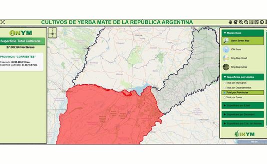 Imagen de El INYM creó el primer mapa interactivo de yerba mate de la Argentina