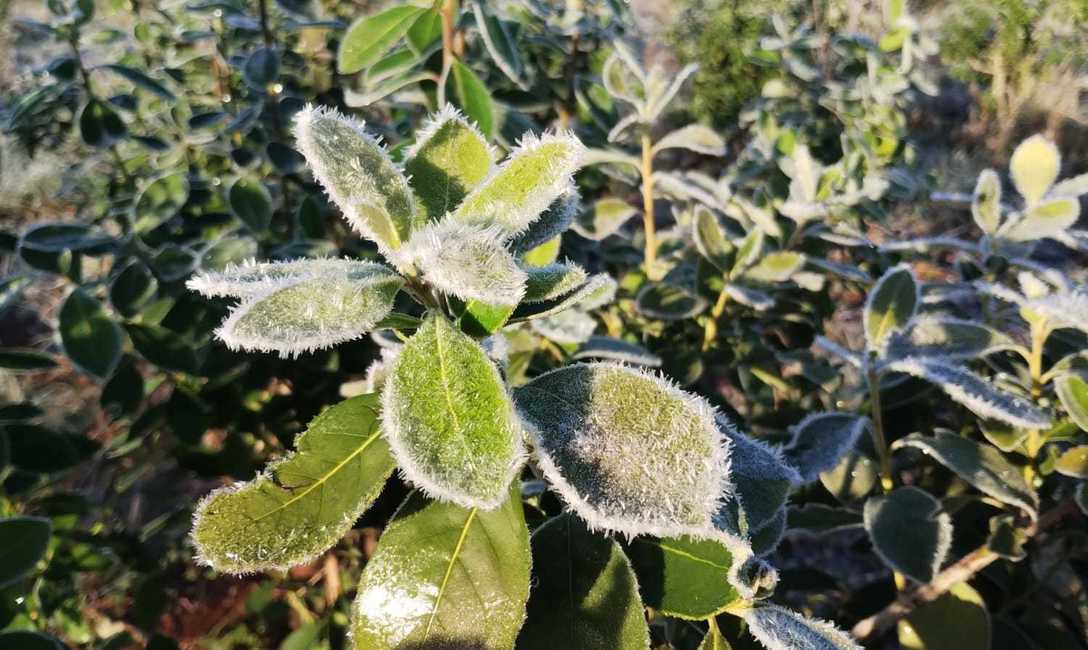 Imagen de Postales del d&iacute;a m&aacute;s fr&iacute;o del a&ntilde;o