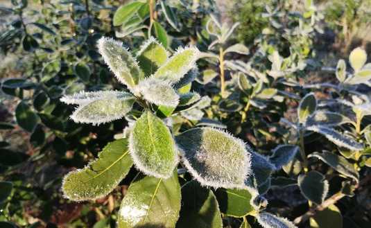 Imagen de Postales del día más frío del año