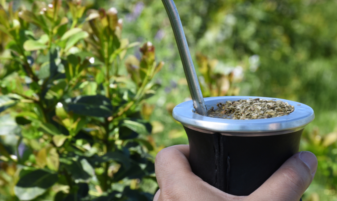 Imagen de Las ventas de yerba mate sumaron 135,6 millones de kilos al cierre de mayo Imagen de Las ventas de yerba mate sumaron 135,6 millones de kilos al cierre de mayo