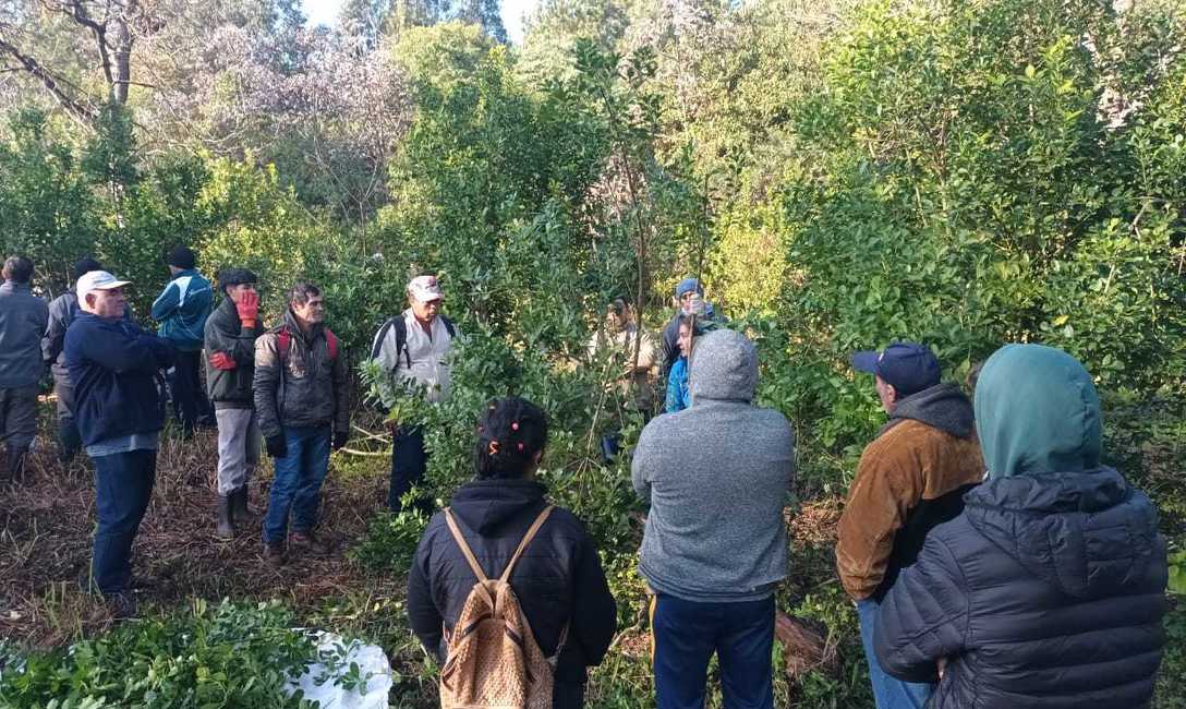 Imagen de Capacitación para trabajadores rurales en Eldorado e Itacaruaré Imagen de Capacitación para trabajadores rurales en Eldorado e Itacaruaré