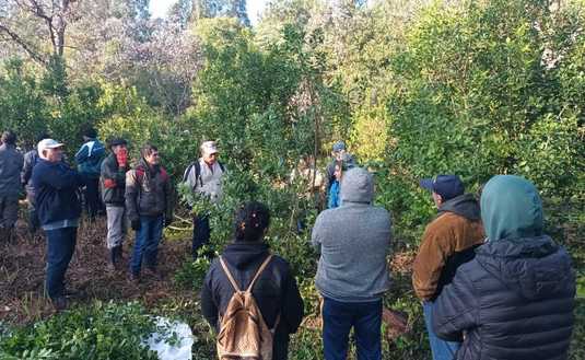 Imagen de Capacitación para trabajadores rurales en Eldorado e Itacaruaré
