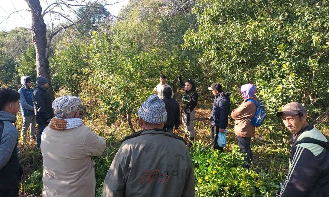 Imagen de Capacitación para trabajadores rurales en Eldorado e Itacaruaré Imagen de Capacitación para trabajadores rurales en Eldorado e Itacaruaré