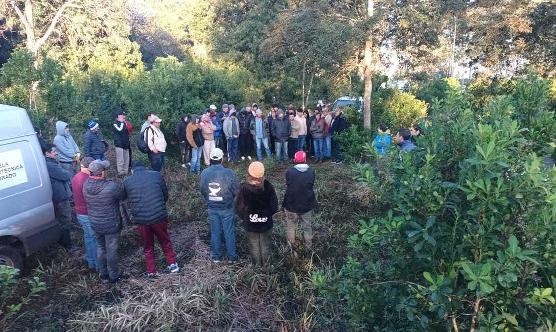 Imagen de Capacitación para trabajadores rurales en Eldorado e Itacaruaré Imagen de Capacitación para trabajadores rurales en Eldorado e Itacaruaré