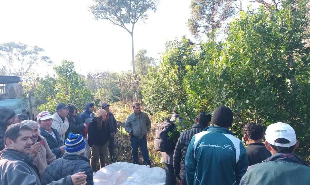 Imagen de Capacitación para trabajadores rurales en Eldorado e Itacaruaré Imagen de Capacitación para trabajadores rurales en Eldorado e Itacaruaré