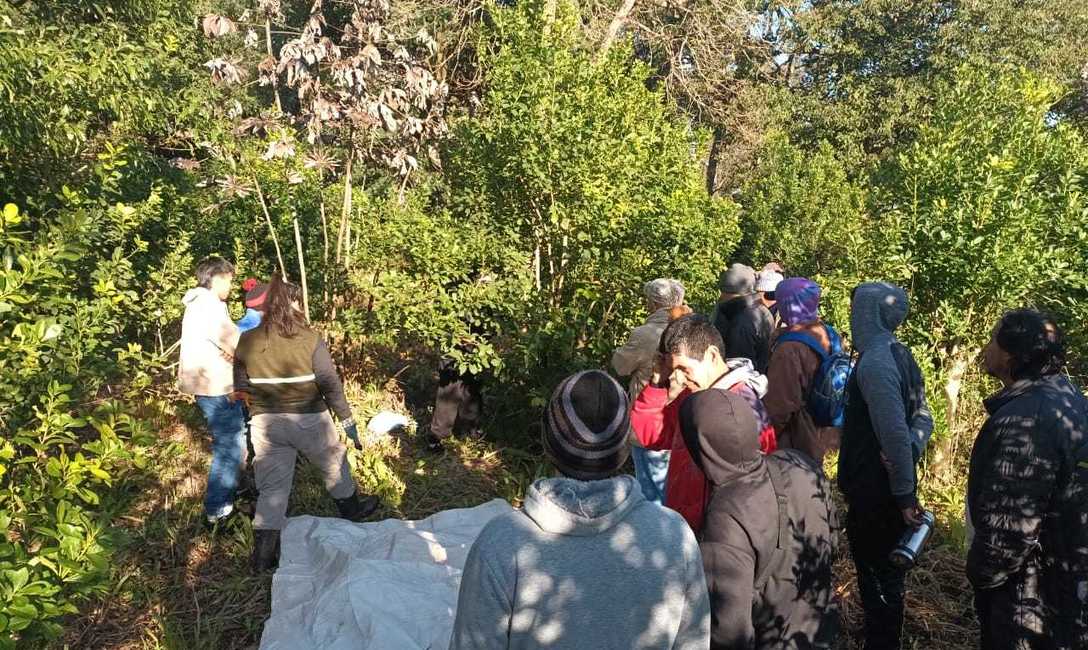 Imagen de Capacitación para trabajadores rurales en Eldorado e Itacaruaré Imagen de Capacitación para trabajadores rurales en Eldorado e Itacaruaré