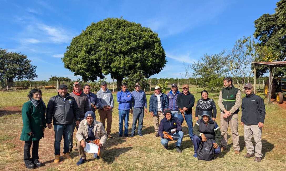 Imagen de Capacitación para trabajadores rurales en Eldorado e Itacaruaré Imagen de Capacitación para trabajadores rurales en Eldorado e Itacaruaré