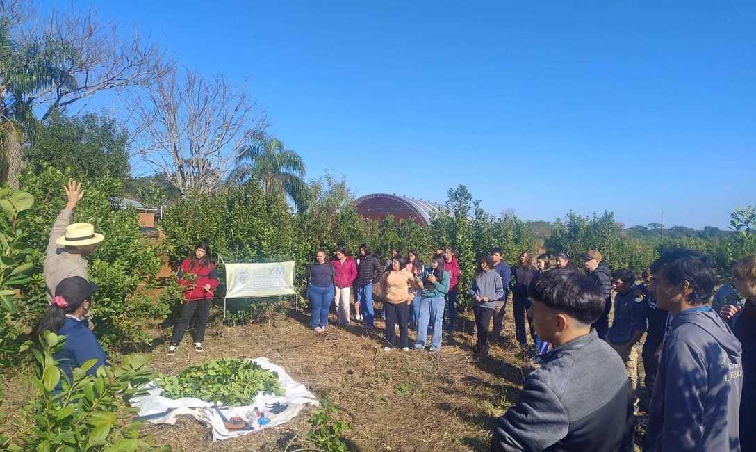 Imagen de Jornada sobre t&eacute;cnicas de cosecha en la EFA Cristo Rey en Los Helechos