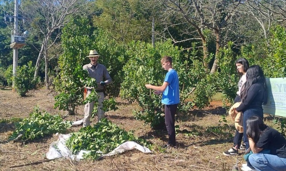 Imagen de Jornada sobre t&eacute;cnicas de cosecha en la EFA Cristo Rey en Los Helechos