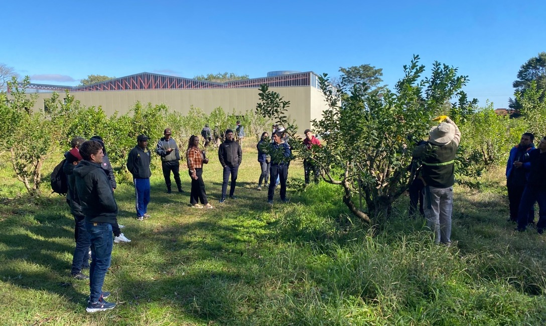 Imagen de Tareferos se capacitaron en jornadas organizadas por el INYM y UATRE Imagen de Tareferos se capacitaron en jornadas organizadas por el INYM y UATRE