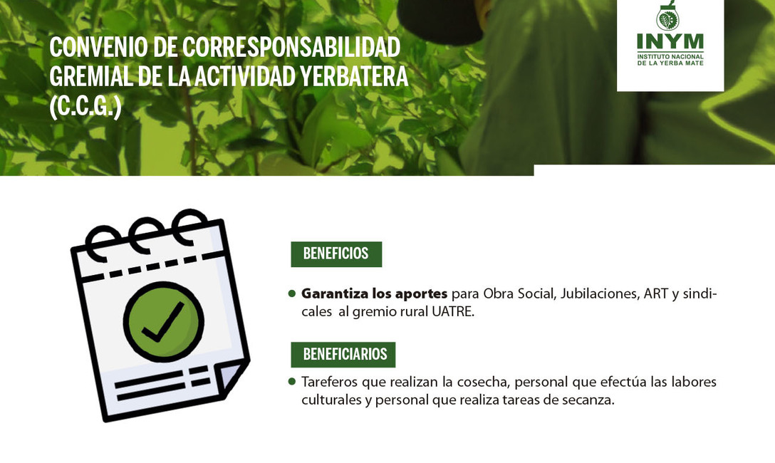 Imagen de El INYM no determina la Tarifa Sustitutiva del Convenio de Corresponsabilidad Gremial (C.C.G.) de la Actividad Yerbatera Imagen de El INYM no determina la Tarifa Sustitutiva del Convenio de Corresponsabilidad Gremial (C.C.G.) de la Actividad Yerbatera