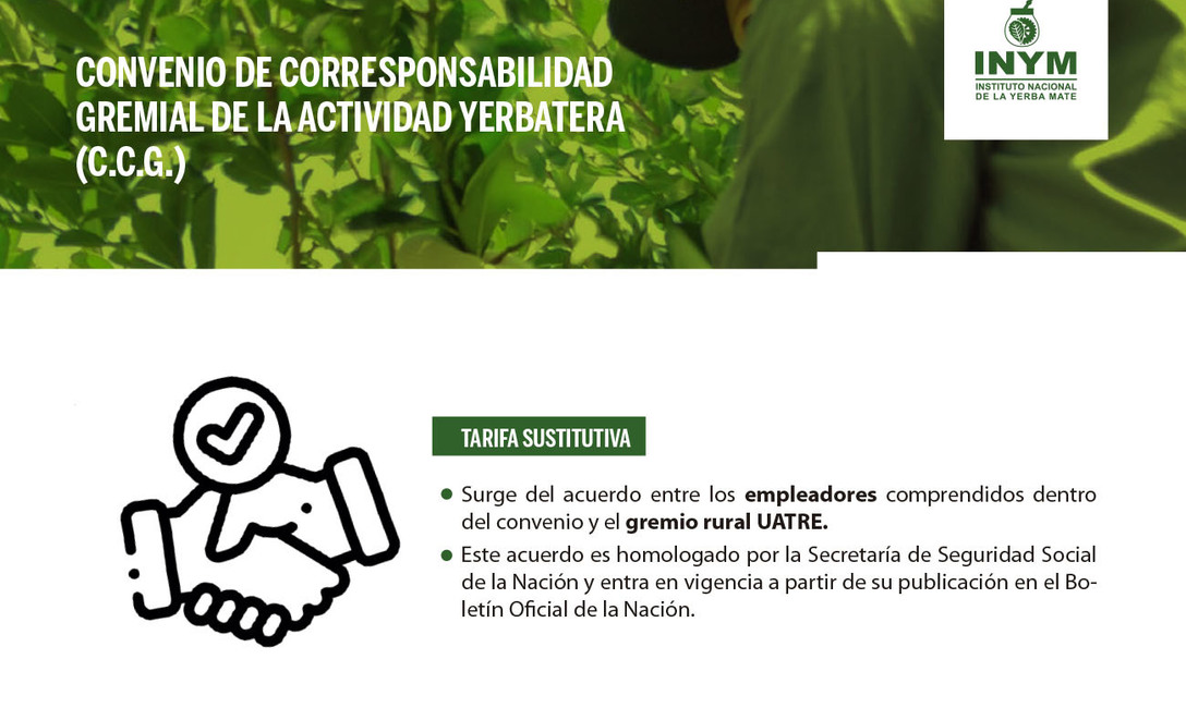 Imagen de El INYM no determina la Tarifa Sustitutiva del Convenio de Corresponsabilidad Gremial (C.C.G.) de la Actividad Yerbatera Imagen de El INYM no determina la Tarifa Sustitutiva del Convenio de Corresponsabilidad Gremial (C.C.G.) de la Actividad Yerbatera