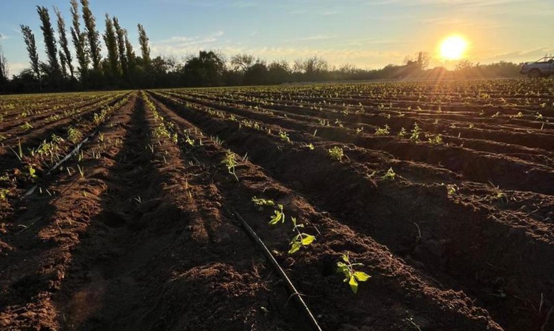 Imagen de El Grupo Cordeiro lanza Verdeflor “23 Regiones”, una nueva línea de blends de yerba mate con hierbas serranas Imagen de El Grupo Cordeiro lanza Verdeflor “23 Regiones”, una nueva línea de blends de yerba mate con hierbas serranas