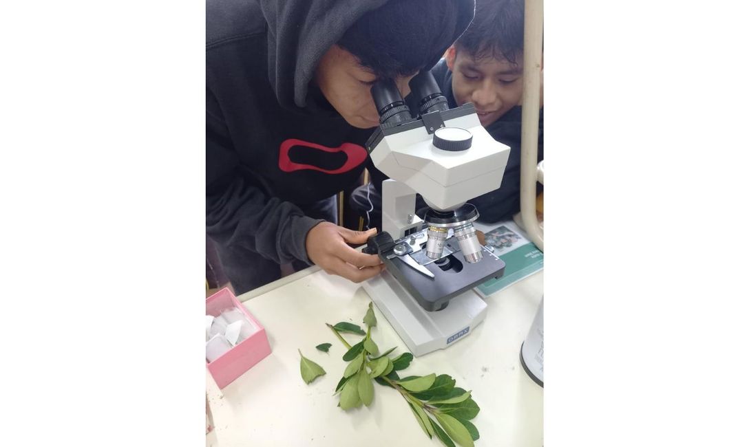 Imagen de El Mate en la Escuela, multiplicador del hábito saludable, conocimientos y proyectos Imagen de El Mate en la Escuela, multiplicador del hábito saludable, conocimientos y proyectos