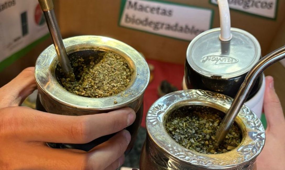Imagen de El Mate en la Escuela, multiplicador del hábito saludable, conocimientos y proyectos Imagen de El Mate en la Escuela, multiplicador del hábito saludable, conocimientos y proyectos