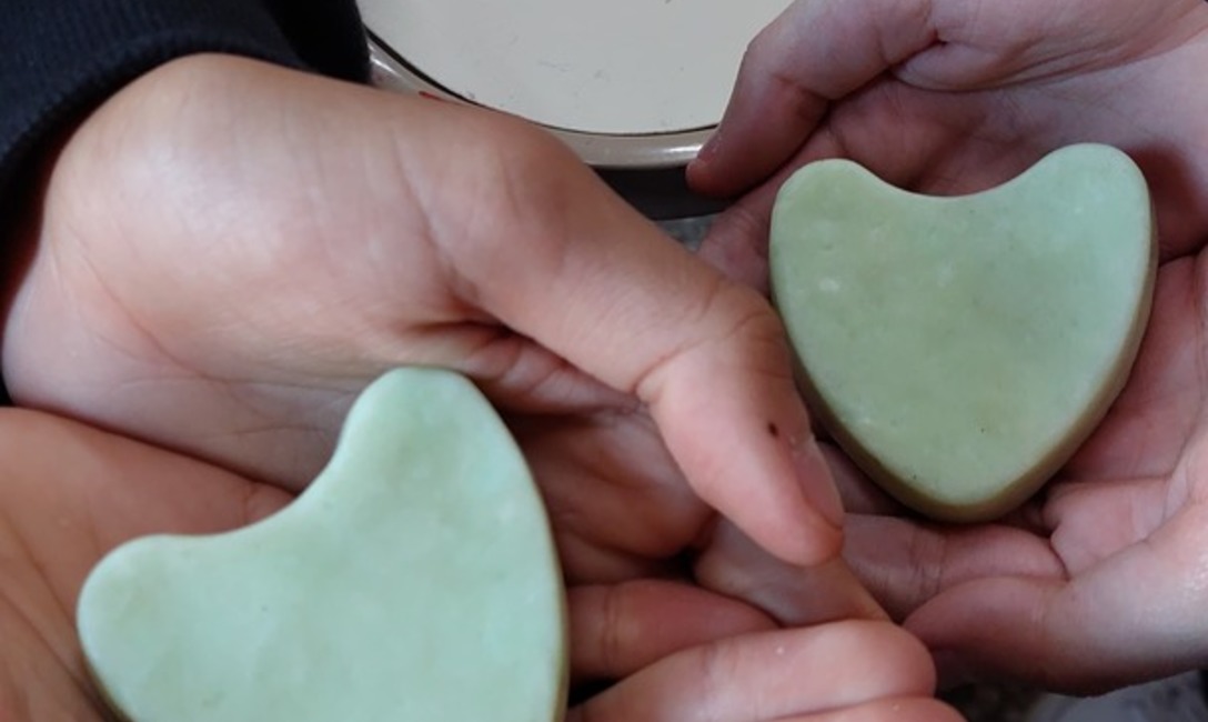 Imagen de El Mate en la Escuela, multiplicador del hábito saludable, conocimientos y proyectos Imagen de El Mate en la Escuela, multiplicador del hábito saludable, conocimientos y proyectos