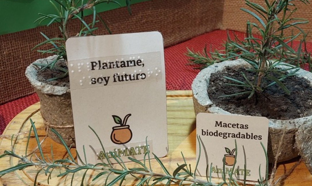 Imagen de El Mate en la Escuela, multiplicador del hábito saludable, conocimientos y proyectos Imagen de El Mate en la Escuela, multiplicador del hábito saludable, conocimientos y proyectos
