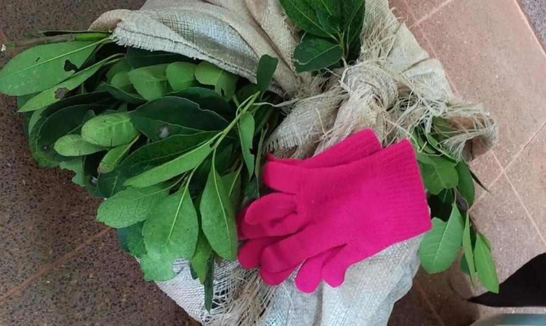 Imagen de El Mate en la Escuela, multiplicador del hábito saludable, conocimientos y proyectos Imagen de El Mate en la Escuela, multiplicador del hábito saludable, conocimientos y proyectos