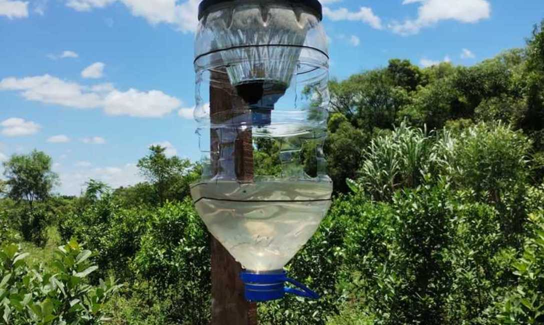 Imagen de Buenos resultados en trampas lumínicas del INYM para el marandová y proyección para optimizar la iniciativa y el manejo de la plaga en yerba mate Imagen de Buenos resultados en trampas lumínicas del INYM para el marandová y proyección para optimizar la iniciativa y el manejo de la plaga en yerba mate