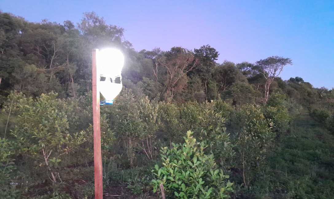 Imagen de Buenos resultados en trampas lumínicas del INYM para el marandová y proyección para optimizar la iniciativa y el manejo de la plaga en yerba mate Imagen de Buenos resultados en trampas lumínicas del INYM para el marandová y proyección para optimizar la iniciativa y el manejo de la plaga en yerba mate