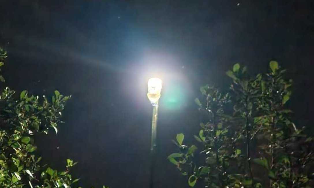 Imagen de Buenos resultados en trampas lumínicas del INYM para el marandová y proyección para optimizar la iniciativa y el manejo de la plaga en yerba mate Imagen de Buenos resultados en trampas lumínicas del INYM para el marandová y proyección para optimizar la iniciativa y el manejo de la plaga en yerba mate