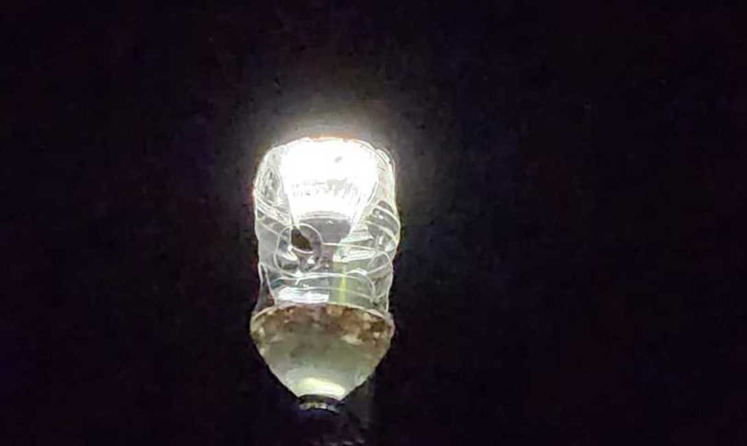 Imagen de Buenos resultados en trampas lumínicas del INYM para el marandová y proyección para optimizar la iniciativa y el manejo de la plaga en yerba mate Imagen de Buenos resultados en trampas lumínicas del INYM para el marandová y proyección para optimizar la iniciativa y el manejo de la plaga en yerba mate