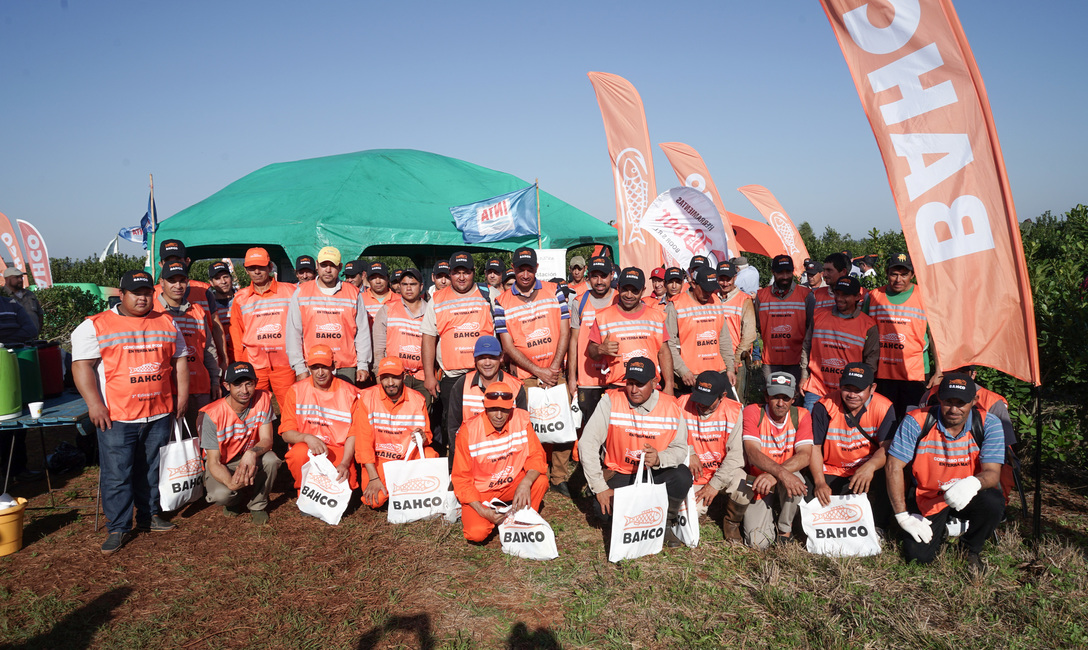 Imagen de Tareferos premiados en el Concurso de Poda y Cosecha 2025 Imagen de Tareferos premiados en el Concurso de Poda y Cosecha 2025