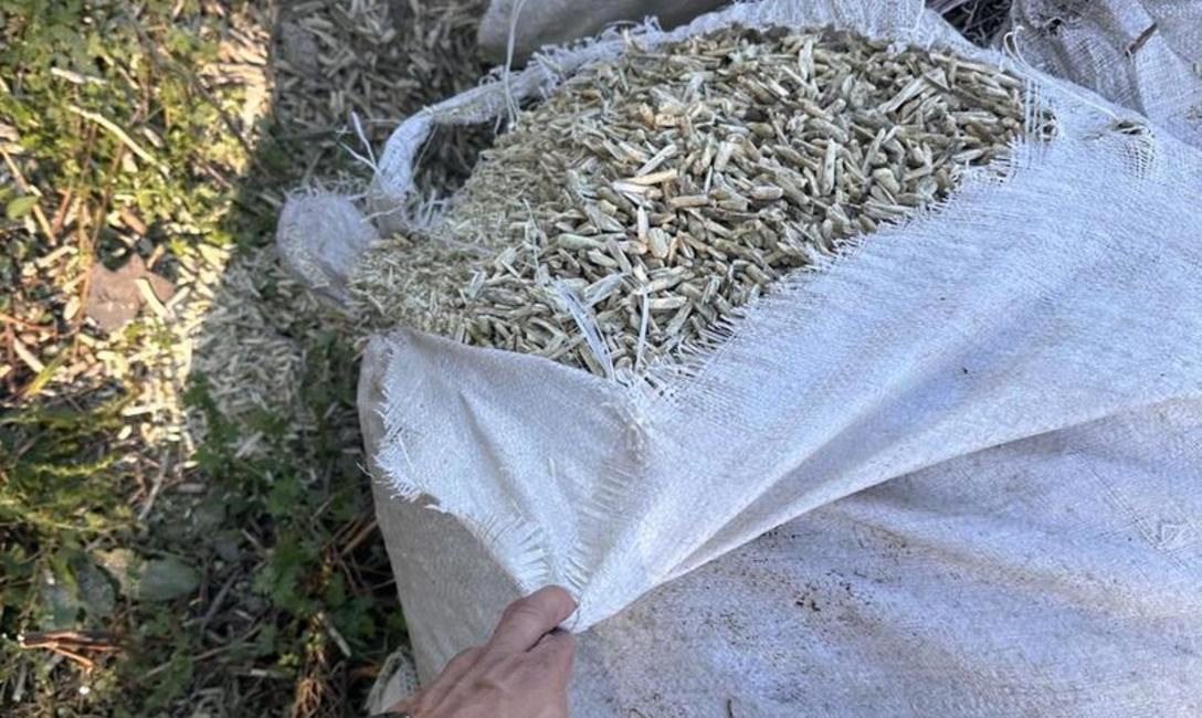 Imagen de El INYM detectó un molino clandestino no habilitado, e intervino 33 mil kilos de yerba mate envasada y 150 mil kilos de palitos Imagen de El INYM detectó un molino clandestino no habilitado, e intervino 33 mil kilos de yerba mate envasada y 150 mil kilos de palitos