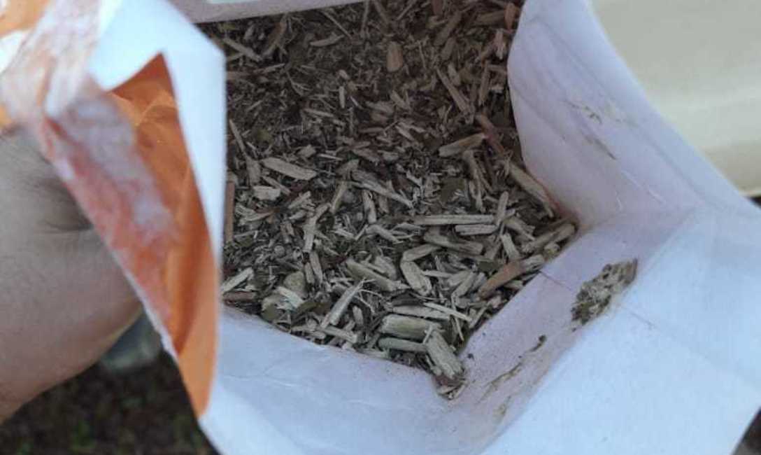 Imagen de El INYM detectó un molino clandestino no habilitado, e intervino 33 mil kilos de yerba mate envasada y 150 mil kilos de palitos Imagen de El INYM detectó un molino clandestino no habilitado, e intervino 33 mil kilos de yerba mate envasada y 150 mil kilos de palitos