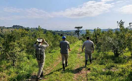 Imagen de Recorrido por yerbales con prácticas amigables con la naturaleza