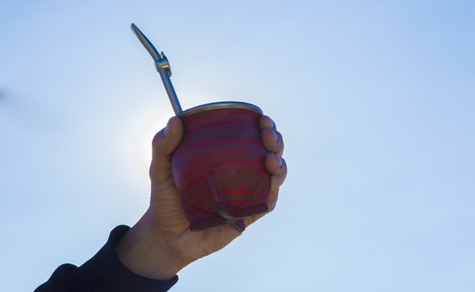 Imagen de El  martes 28 de octubre, capacitación para exportar yerba mate argentina al mercado europeo