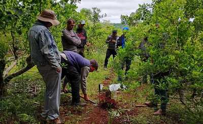 Imagen de Manejo de suelos, eje principal de la capacitación con productores de El Soberbio Imagen de Manejo de suelos, eje principal de la capacitación con productores de El Soberbio