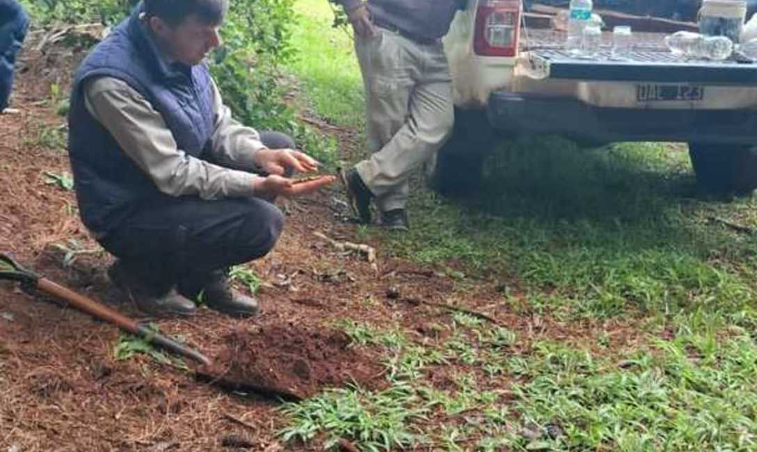Imagen de Manejo de suelos, eje principal de la capacitación con productores de El Soberbio Imagen de Manejo de suelos, eje principal de la capacitación con productores de El Soberbio